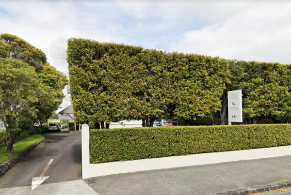 The front of a property with a high hedge at the front and a driveway.